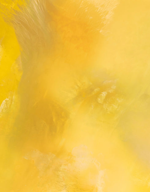 Screaming Yellow Zonker | Framed Giclee Print on Canvas